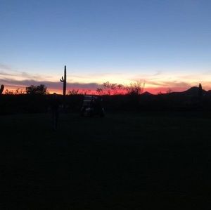 Meet your Posher, Carson